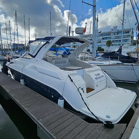 Tekne Boat Speedboat O Thor